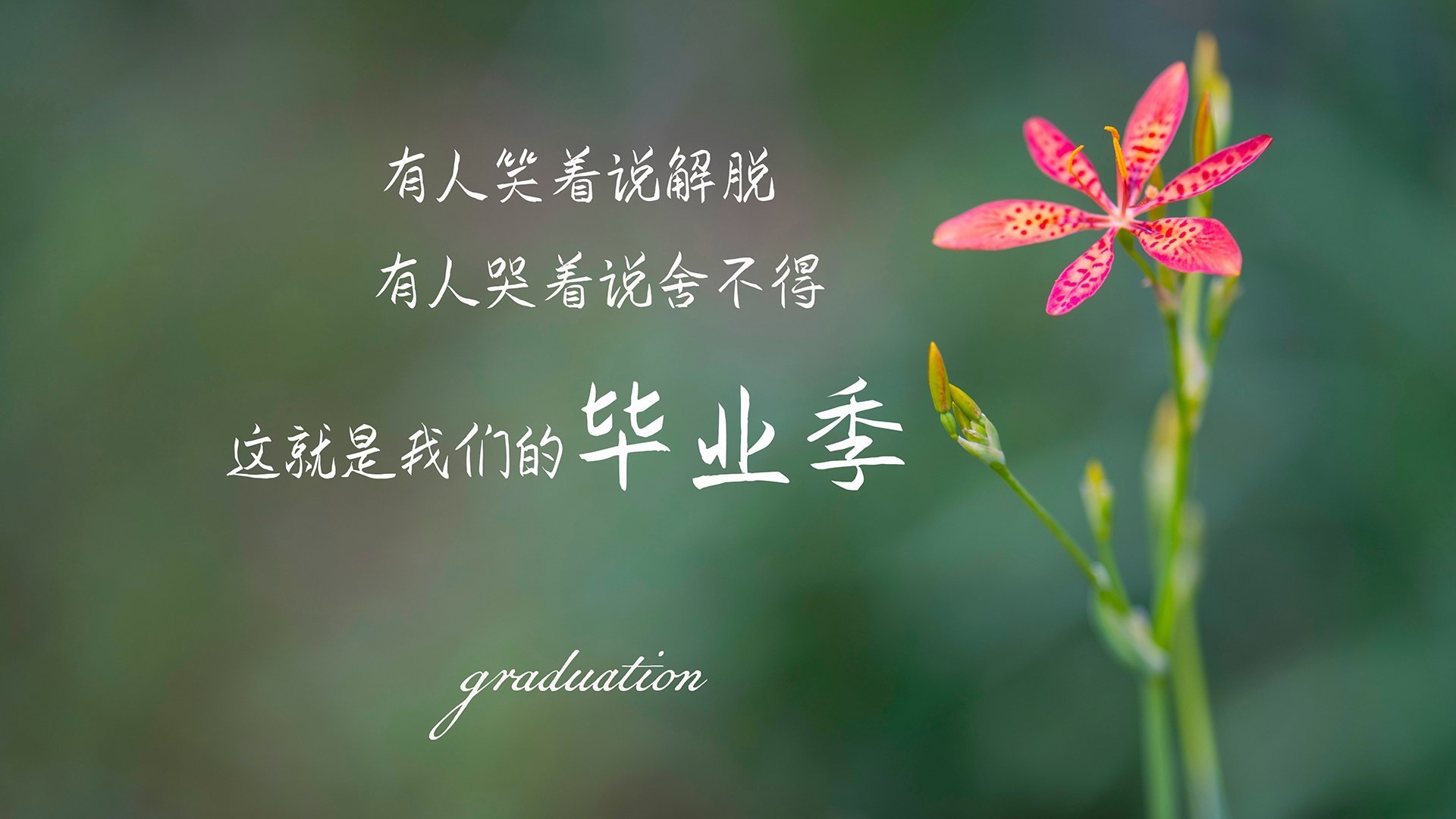 牡丹江好吃的餐厅推荐(牡丹江好一点的餐厅)